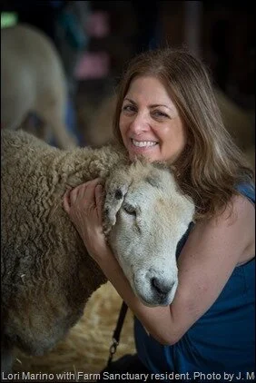 Lori and rescued sheep at Farm Sanctuary.jpg
