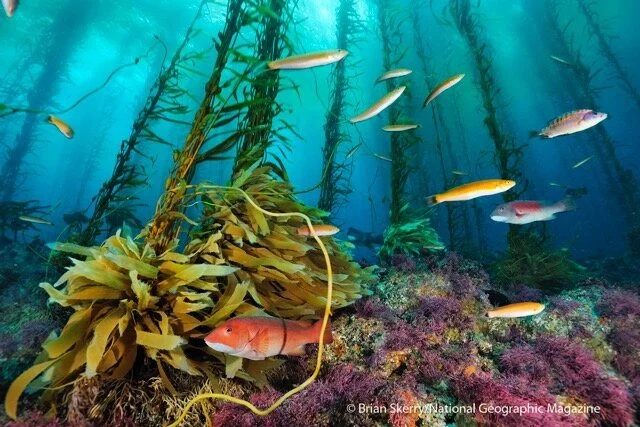 image-asset (4).jpeg