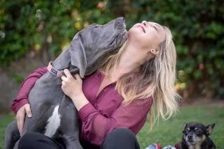S2. E8: Shannon Keith: Hope For Thousands Of Beagles Used In Laboratory ...