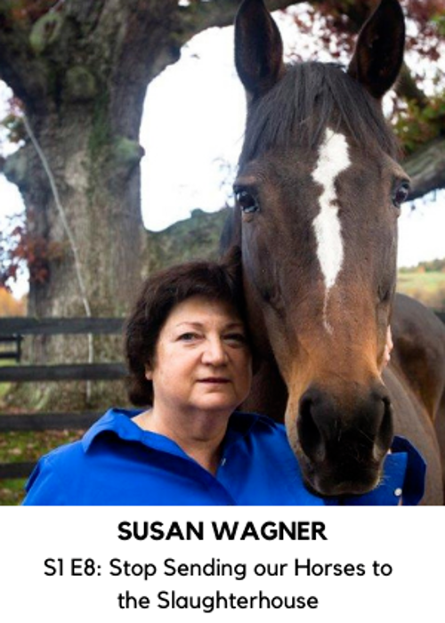S1. E8: Susan Wagner: Stop Sending Our Horses To The Slaughterhouse