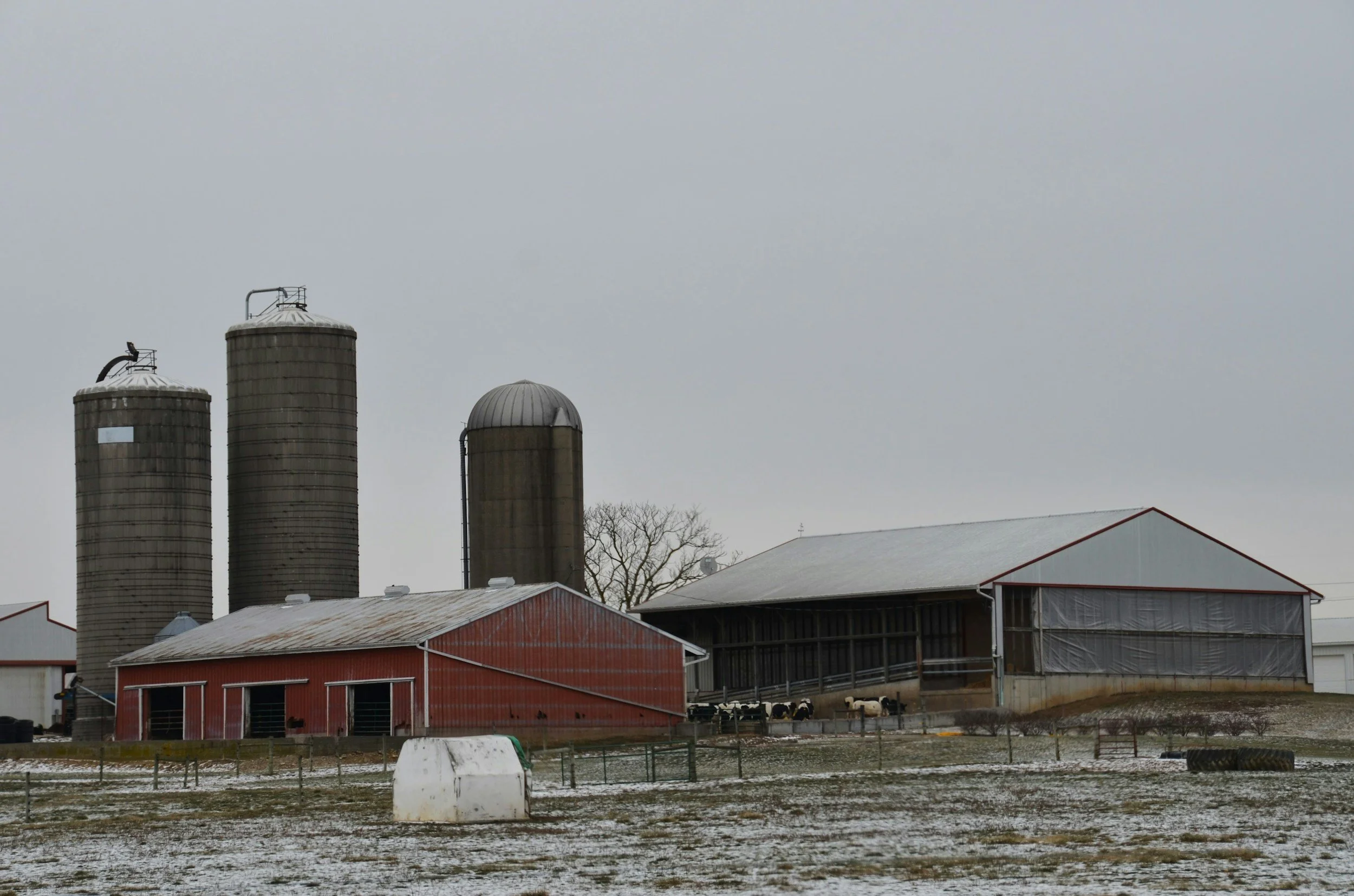 ‘Hinders American innovation’: Alabama bans cultivated meat