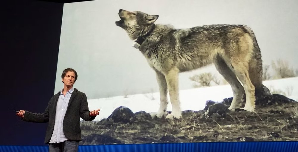 94fbf7_6a59d12552574029bca635300287072a~mv2 copy.jpg