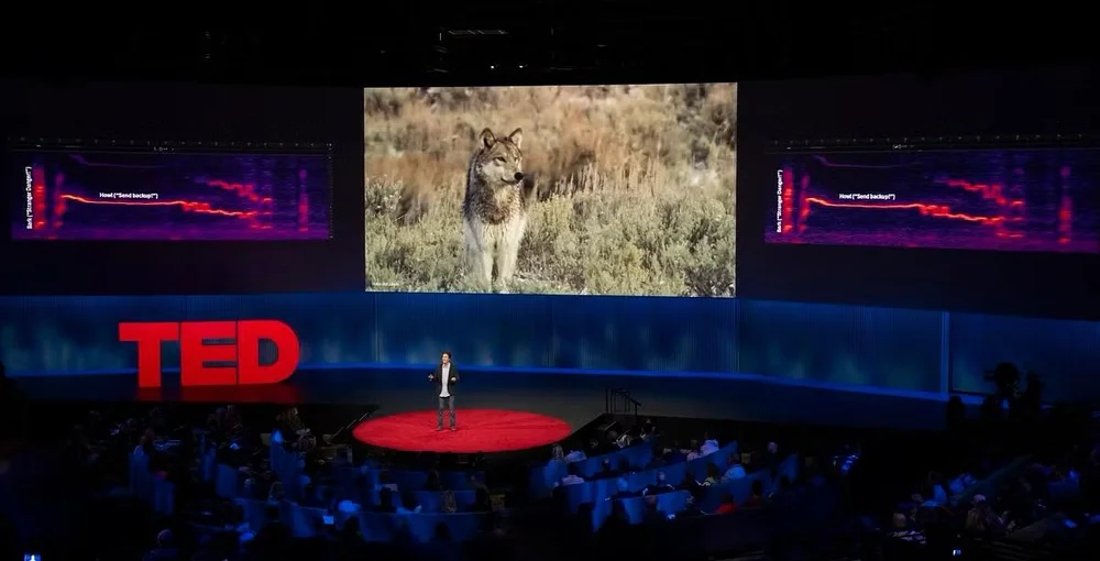 94fbf7_b5bec42929ea43caa99a6ffa71d8d1fe~mv2 copy.jpg