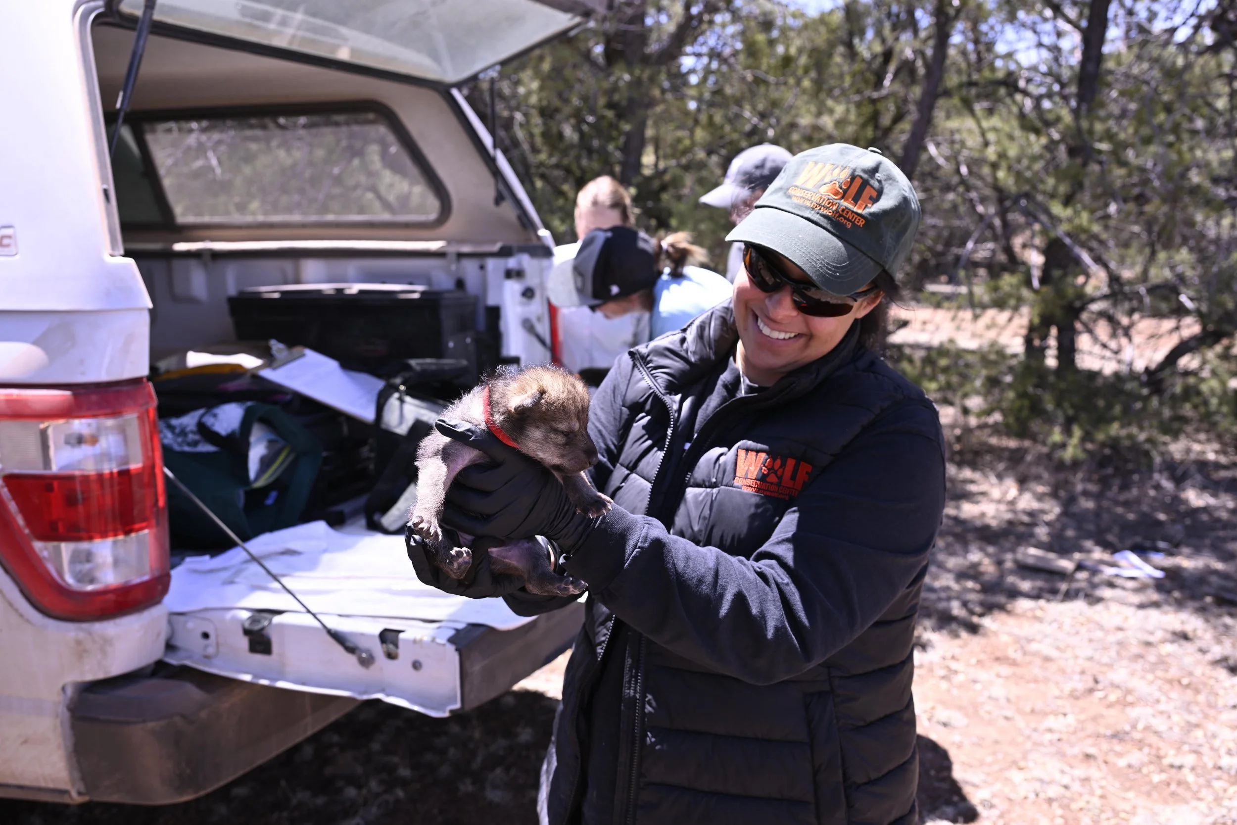 S13.E18: Rebecca Bose: Undoing an American Extinction