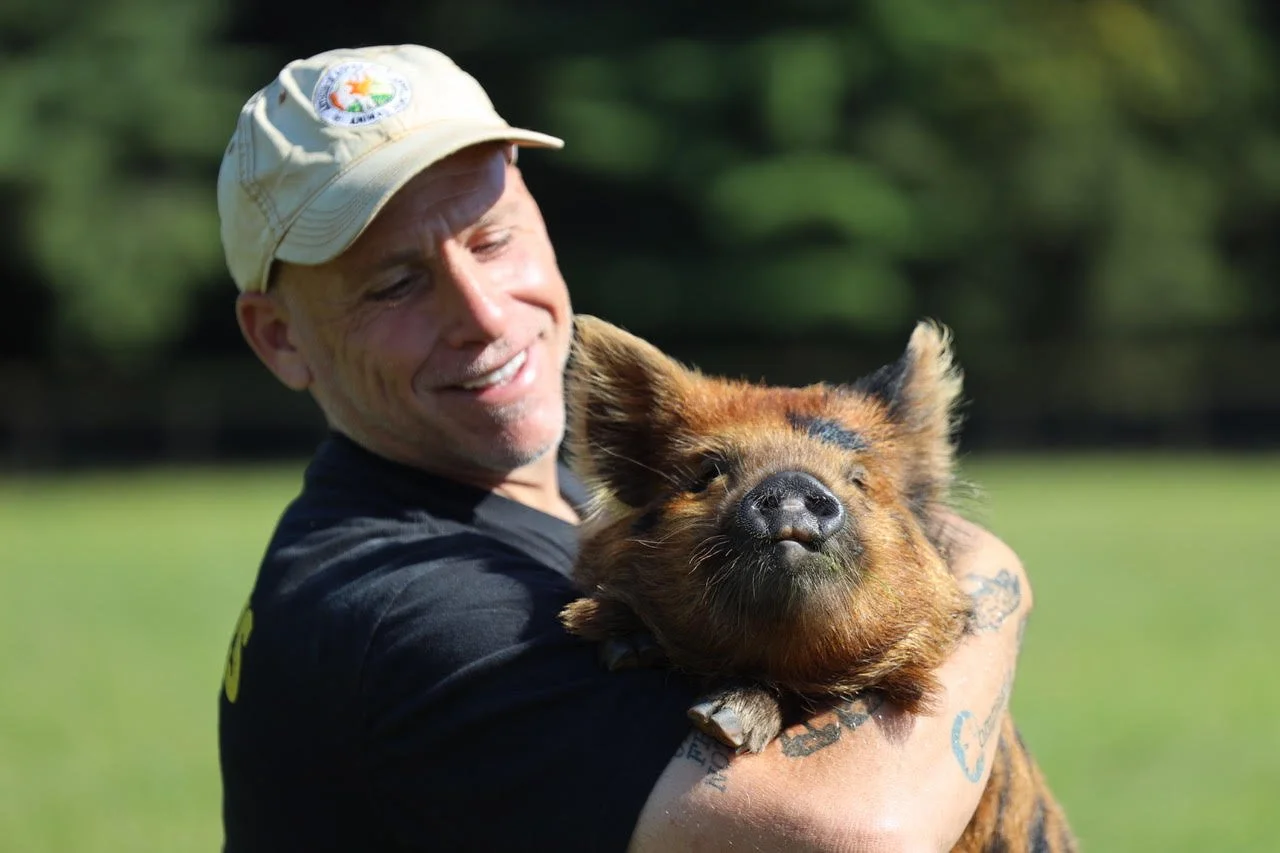 S13. E21: Todd Friedman: The Pig Who Changed Everything