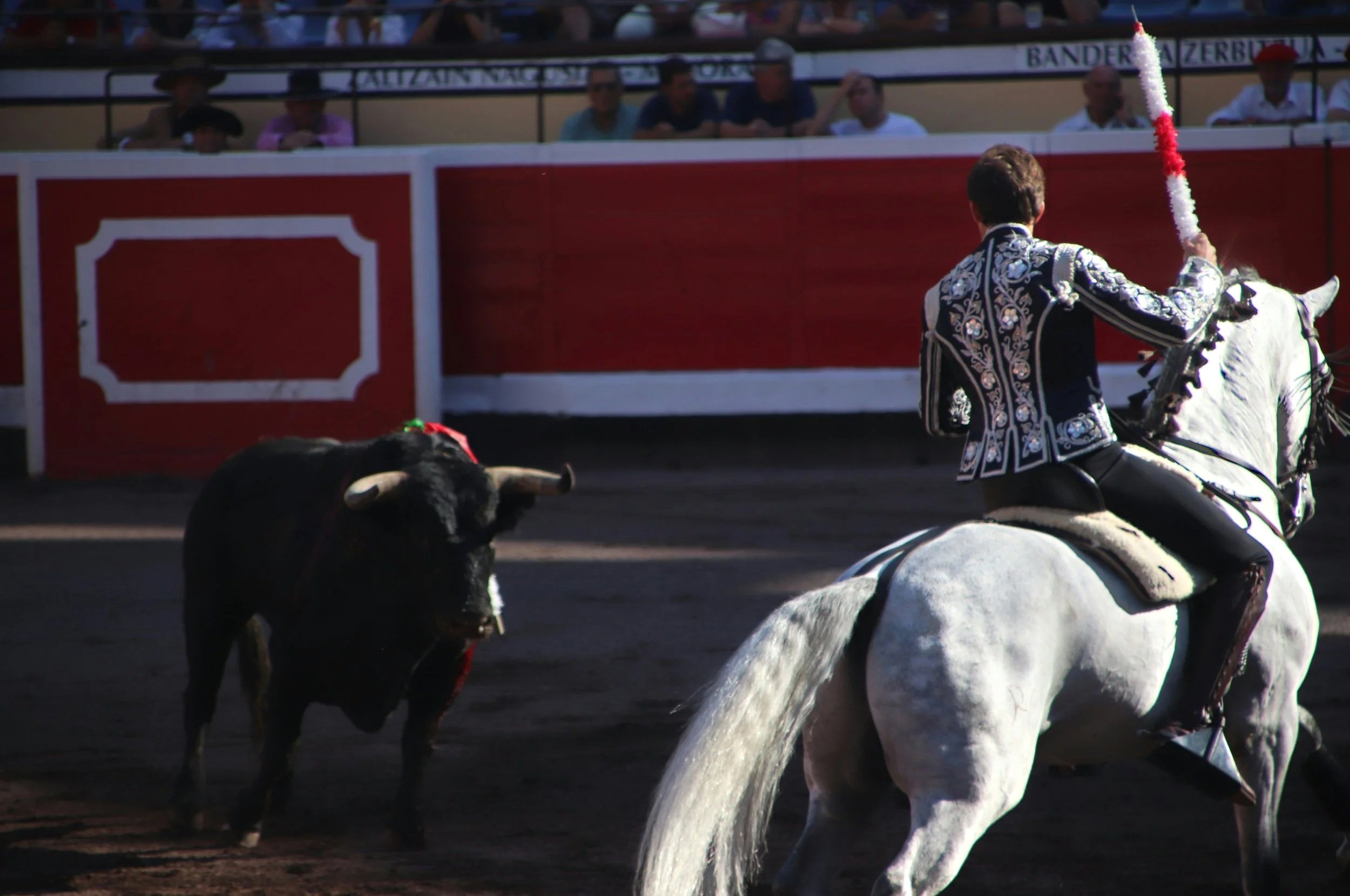 Spain Moves to Bar Children from Bullfights