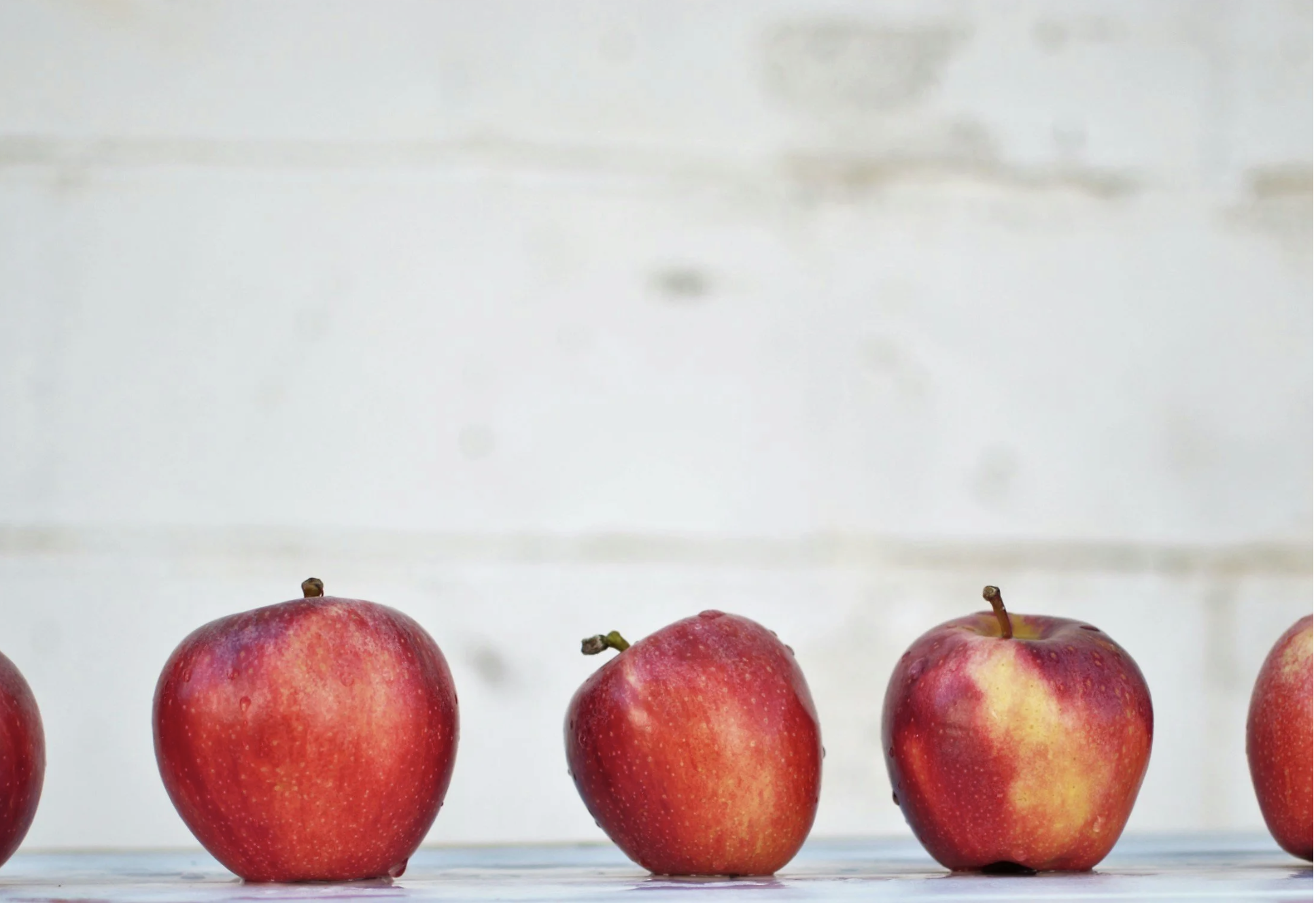 Plant-based meals will be guaranteed in Polish schools