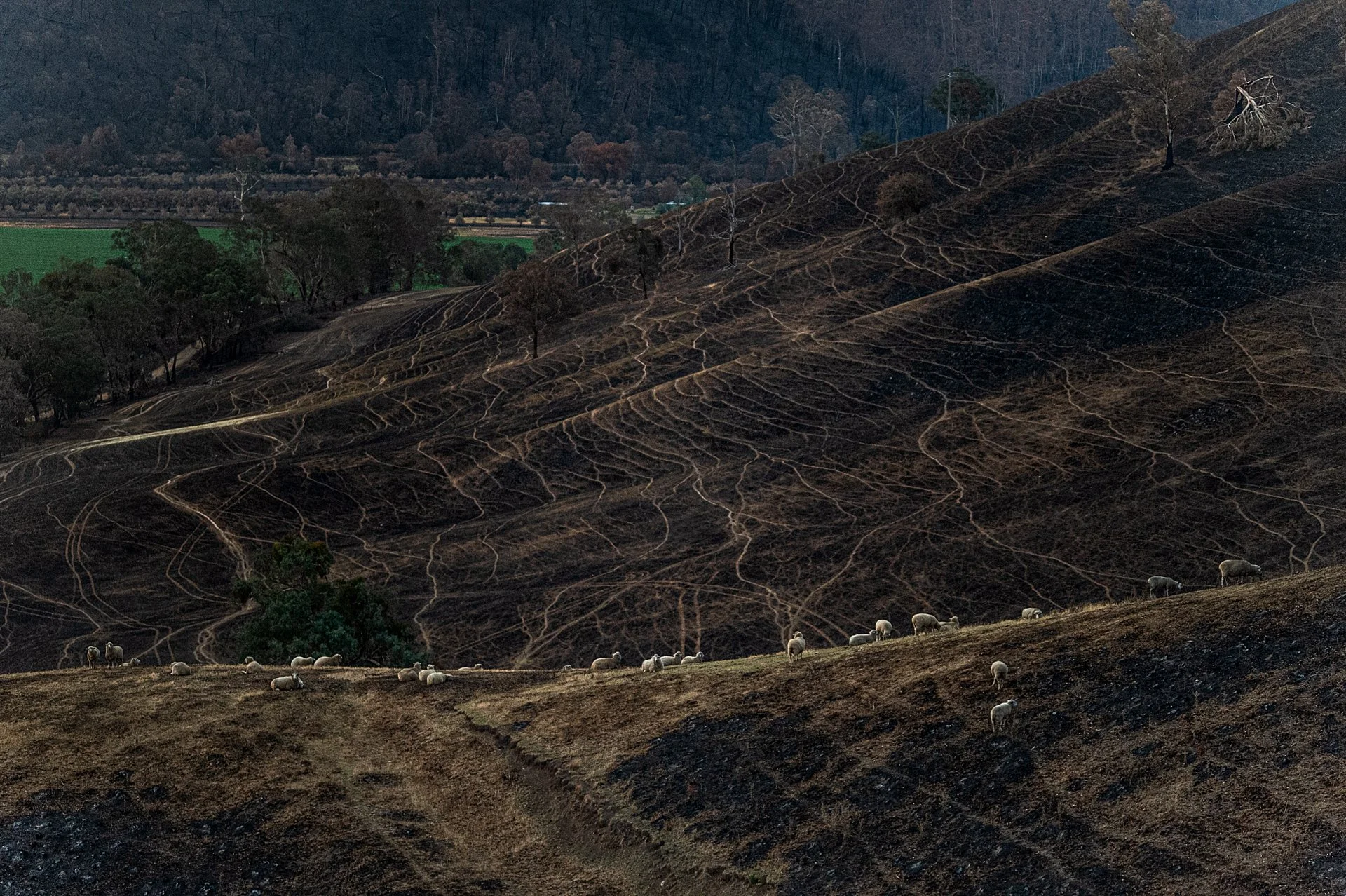 The hidden deforestation in your wardrobe