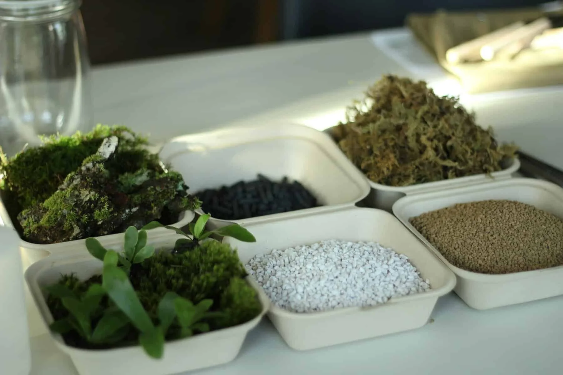 New law could help expand plant-based materials in the US