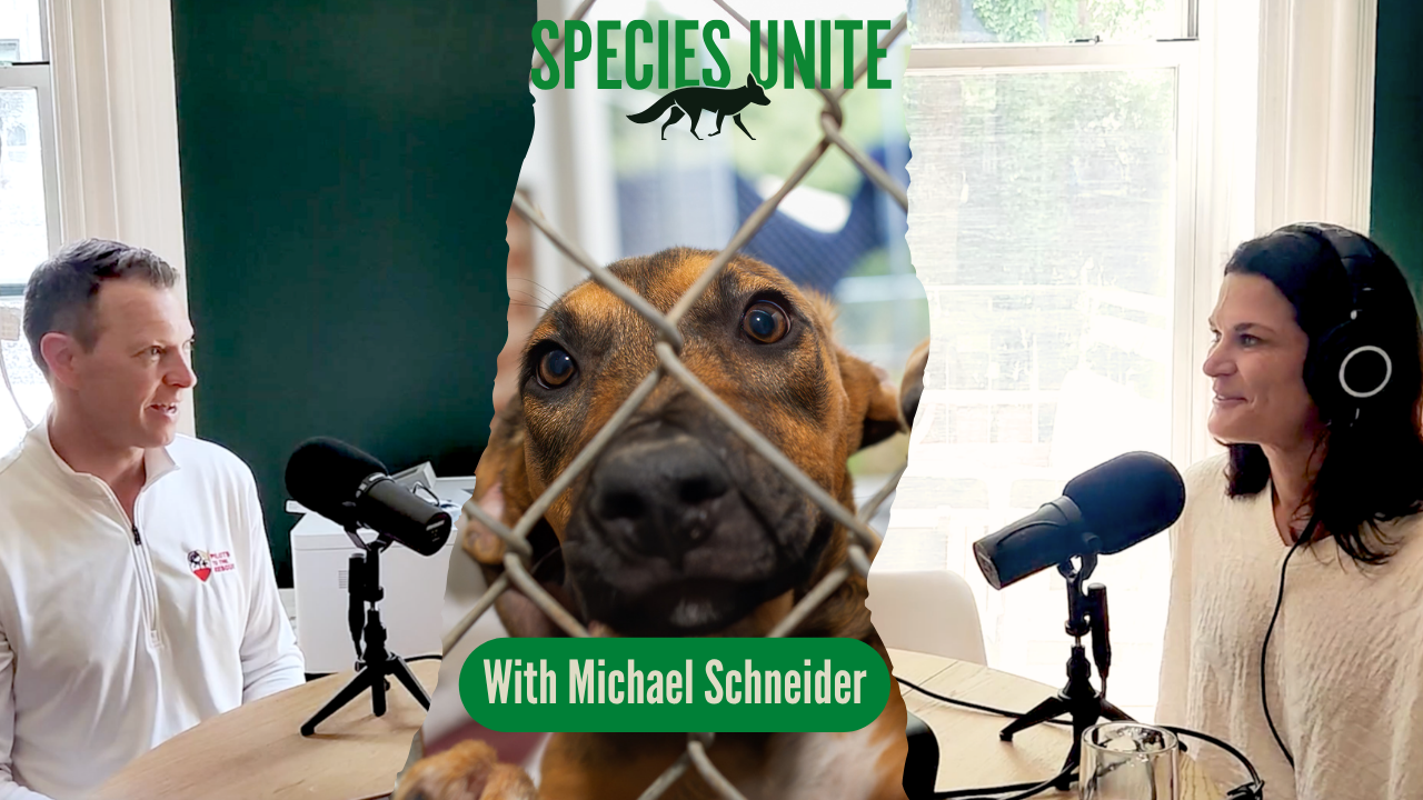 S14. E3: Michael Schneider: Pilots to the Rescue