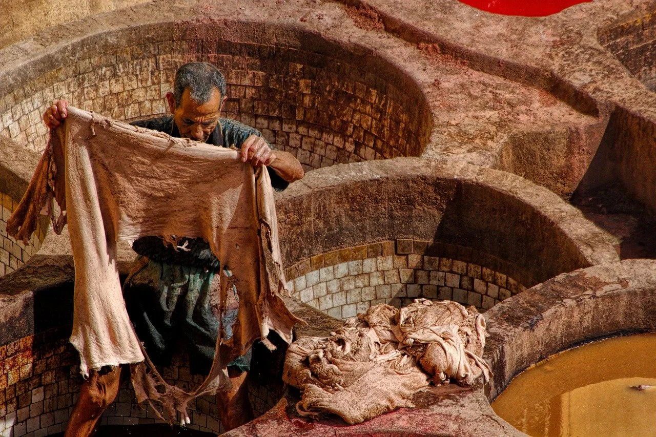 Environmental impact of animal leather 70% higher than previously believed