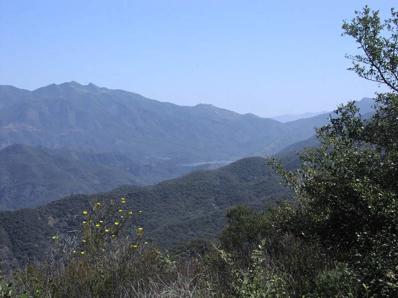 Trump administration moves to open 45 million acres of protected wilderness to logging