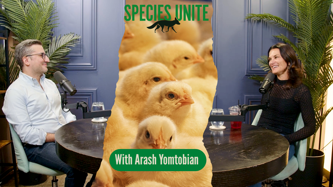 S14. E5: Arash Yomtobian: The Problem with All or Nothing
