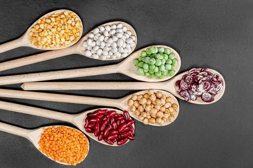 A ‘secret panel’ shaped America's new food guidelines, lawsuit alleges