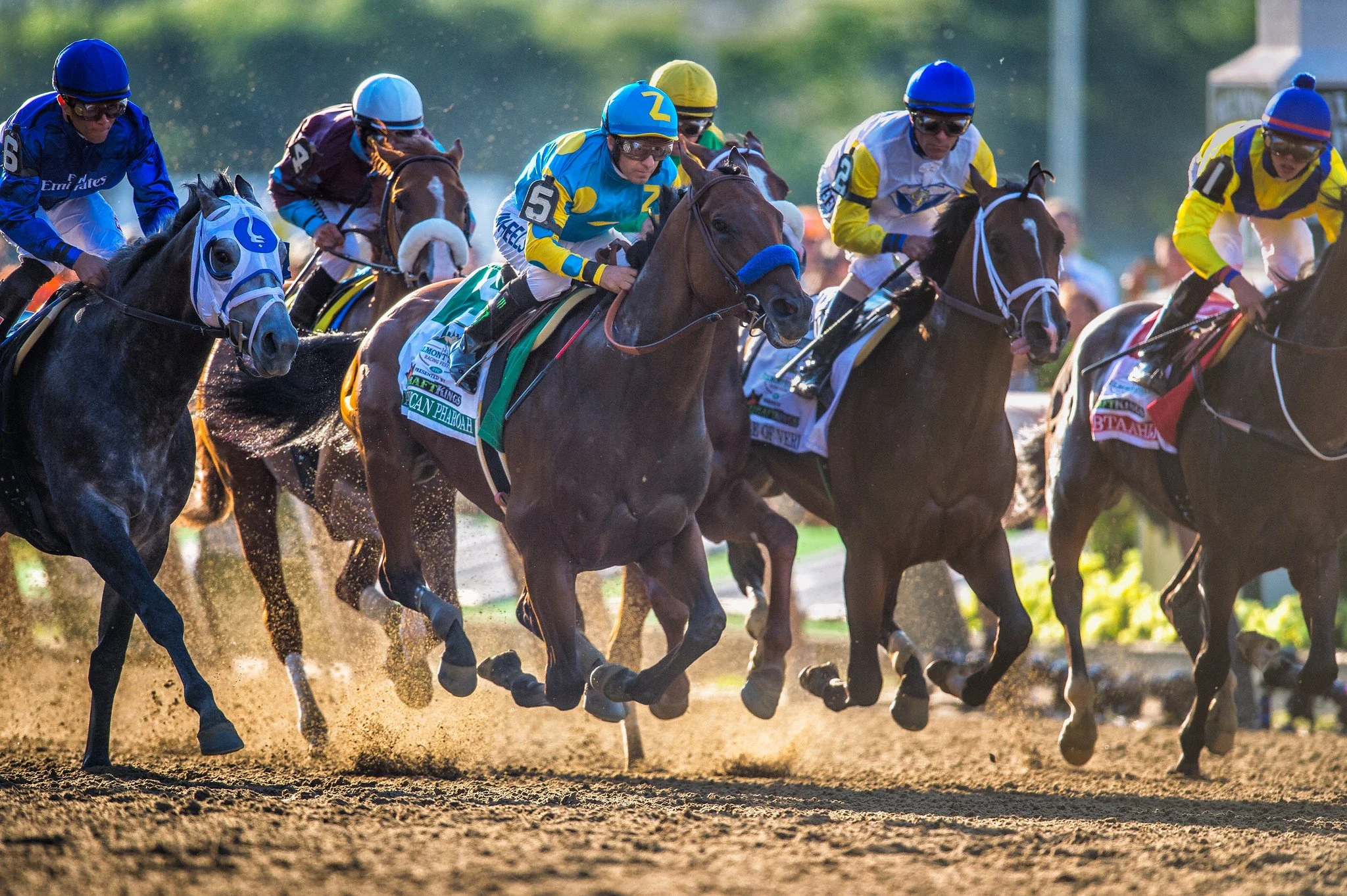 Tripadvisor bans ticket sales for horse racing tracks worldwide