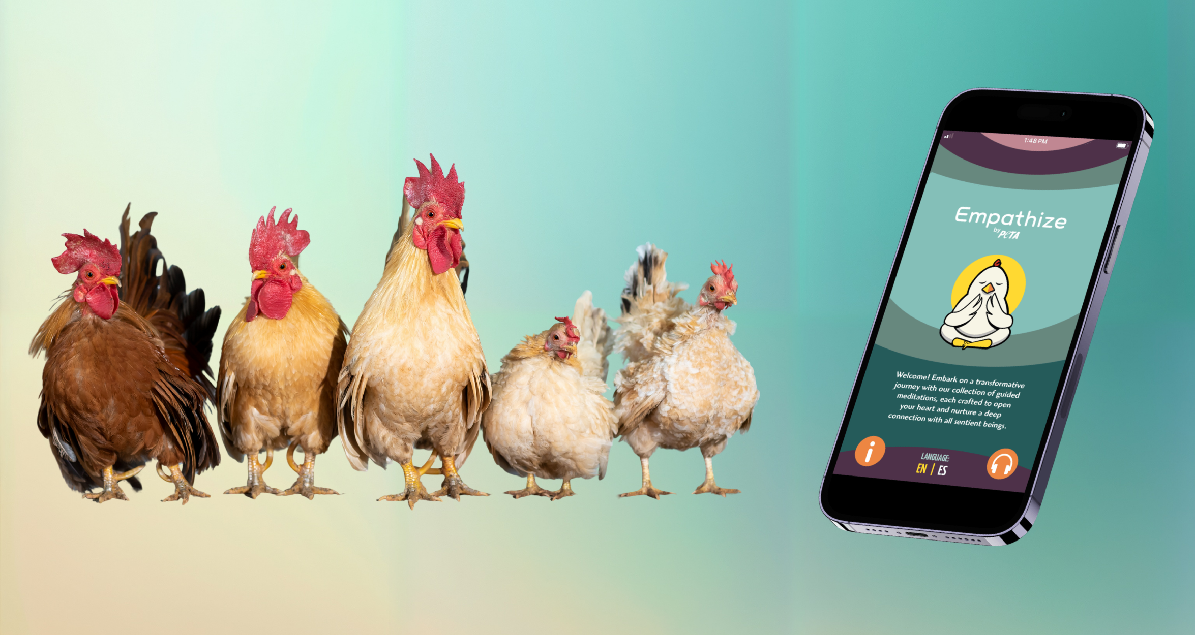 This new meditation app aims to foster empathy for chickens