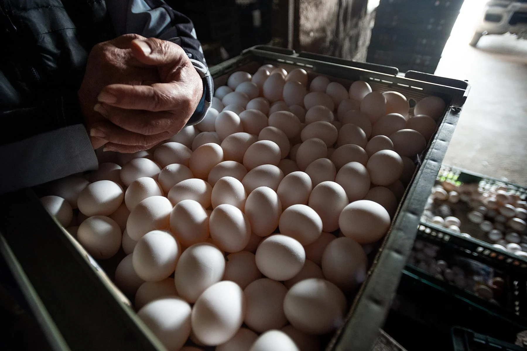Drug-resistant salmonella strains are rising in the US poultry industry