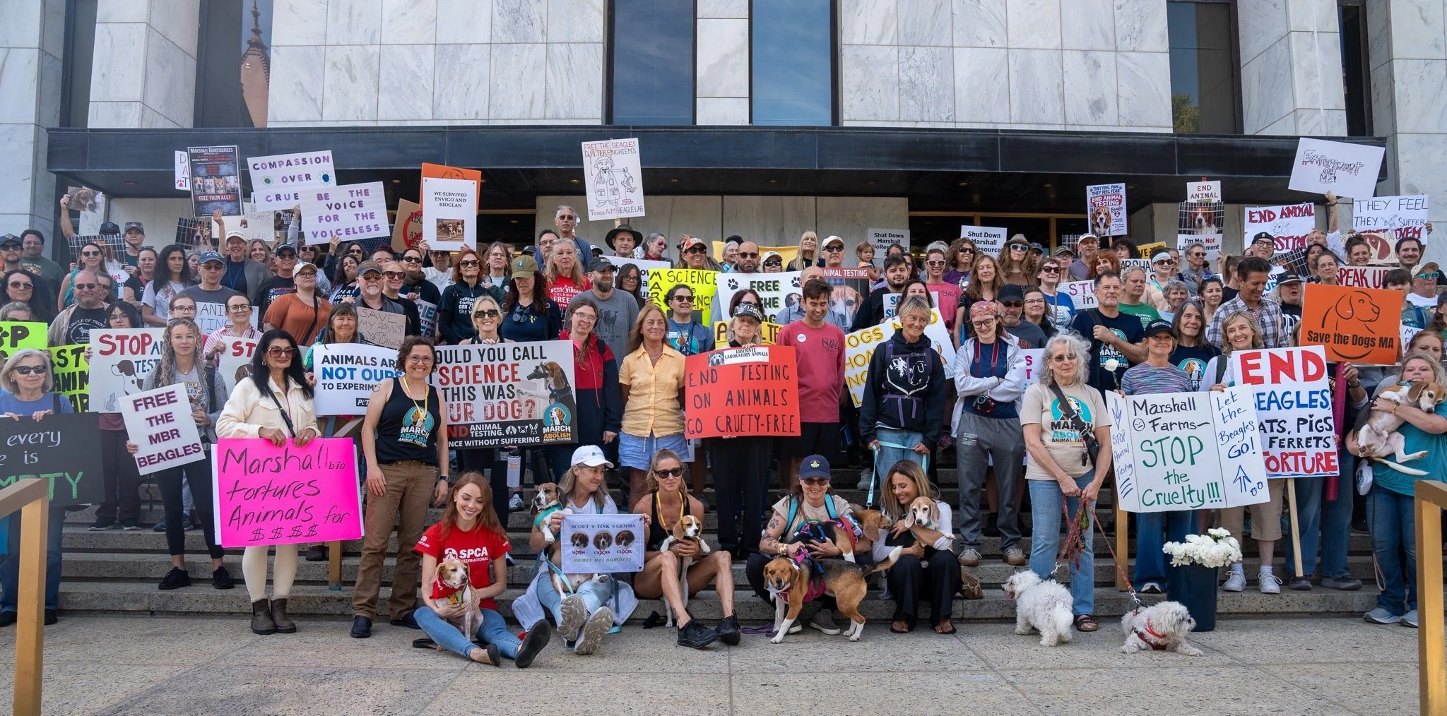 Protestors march more than 200 miles across New York State to demand an end to animal testing