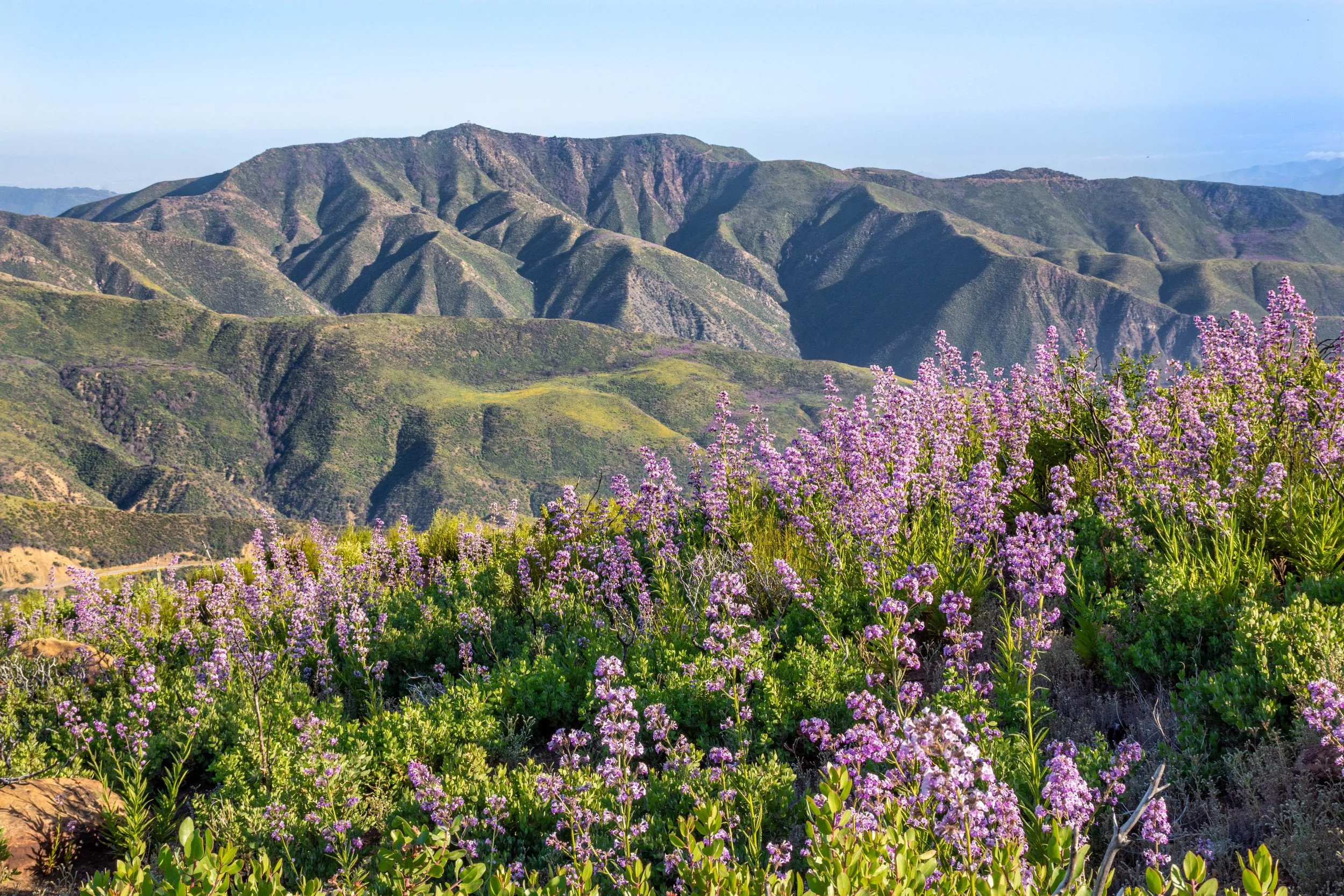 Trump administration moves to open 45 million acres of protected wilderness to logging