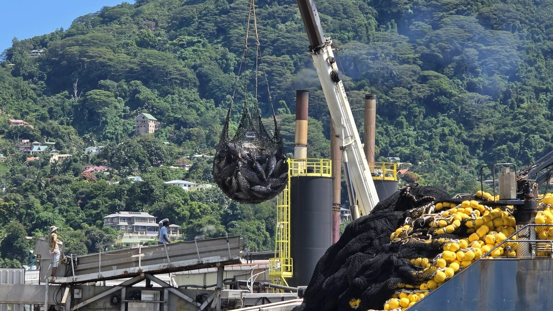 Hidden European empire behind tuna exposed in new report