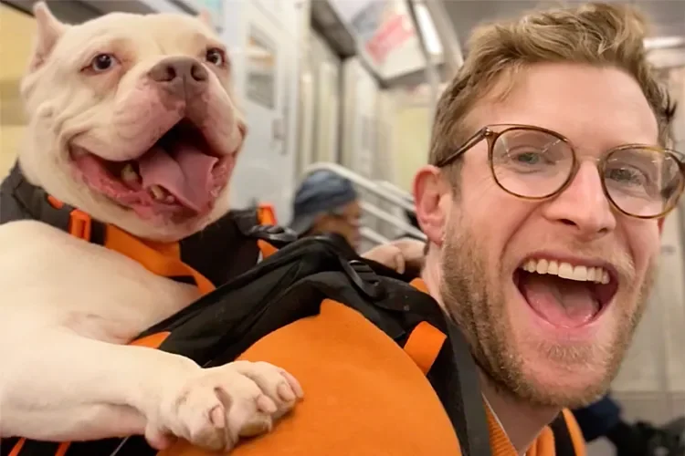 Influencer carries shelter dogs around New York subway to find them new homes