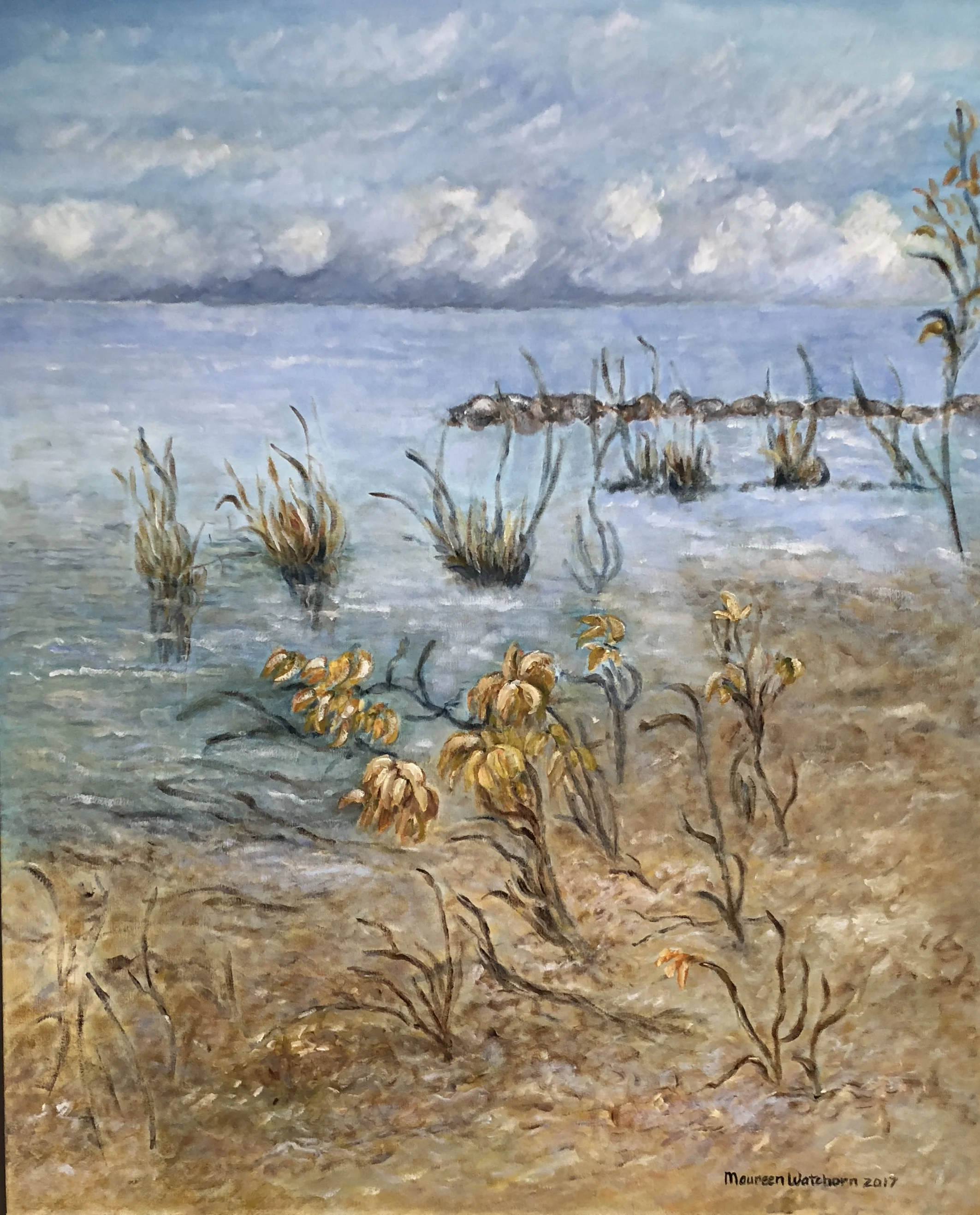 Lake Winnipeg Shoreline