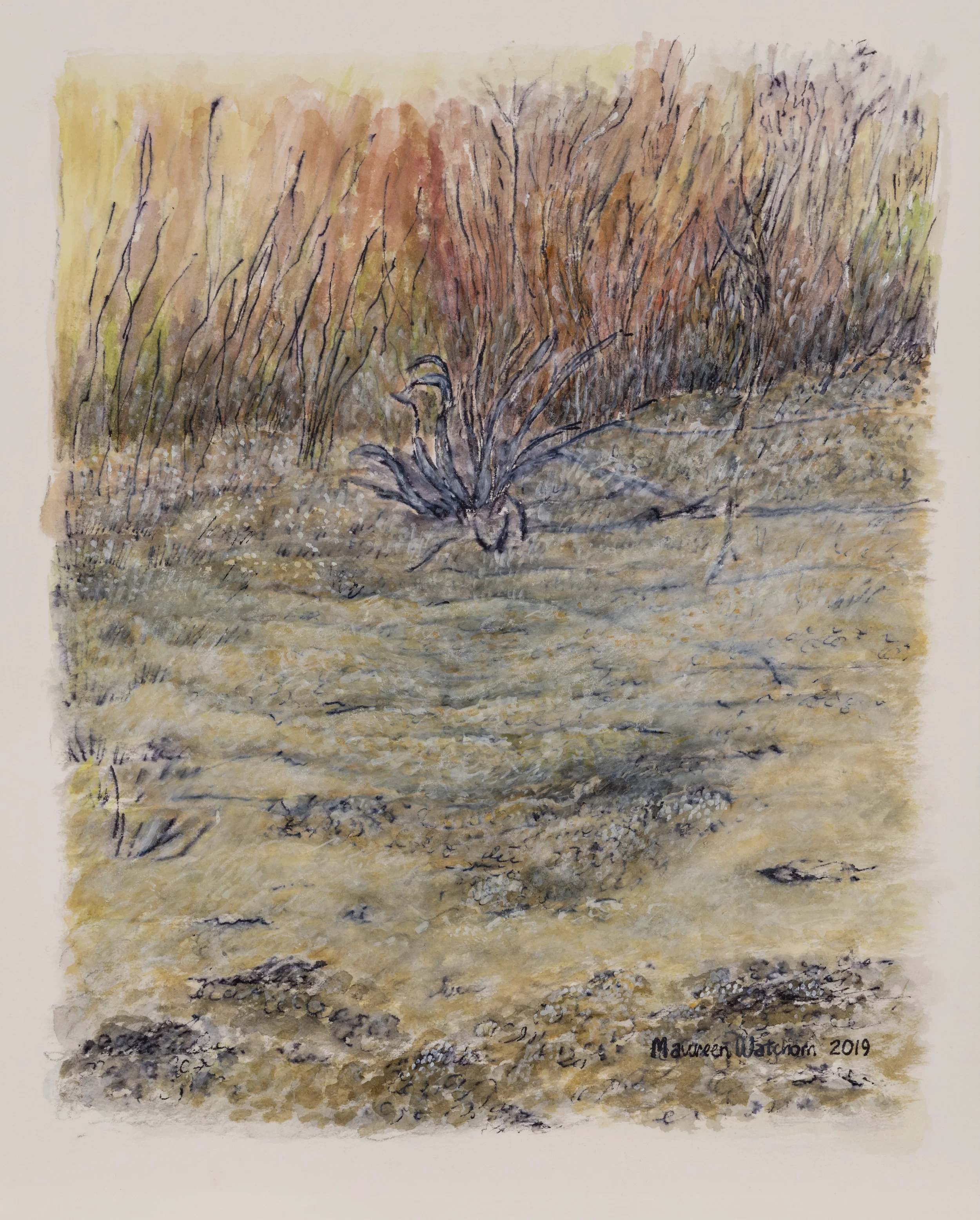 The Awakening Marsh 