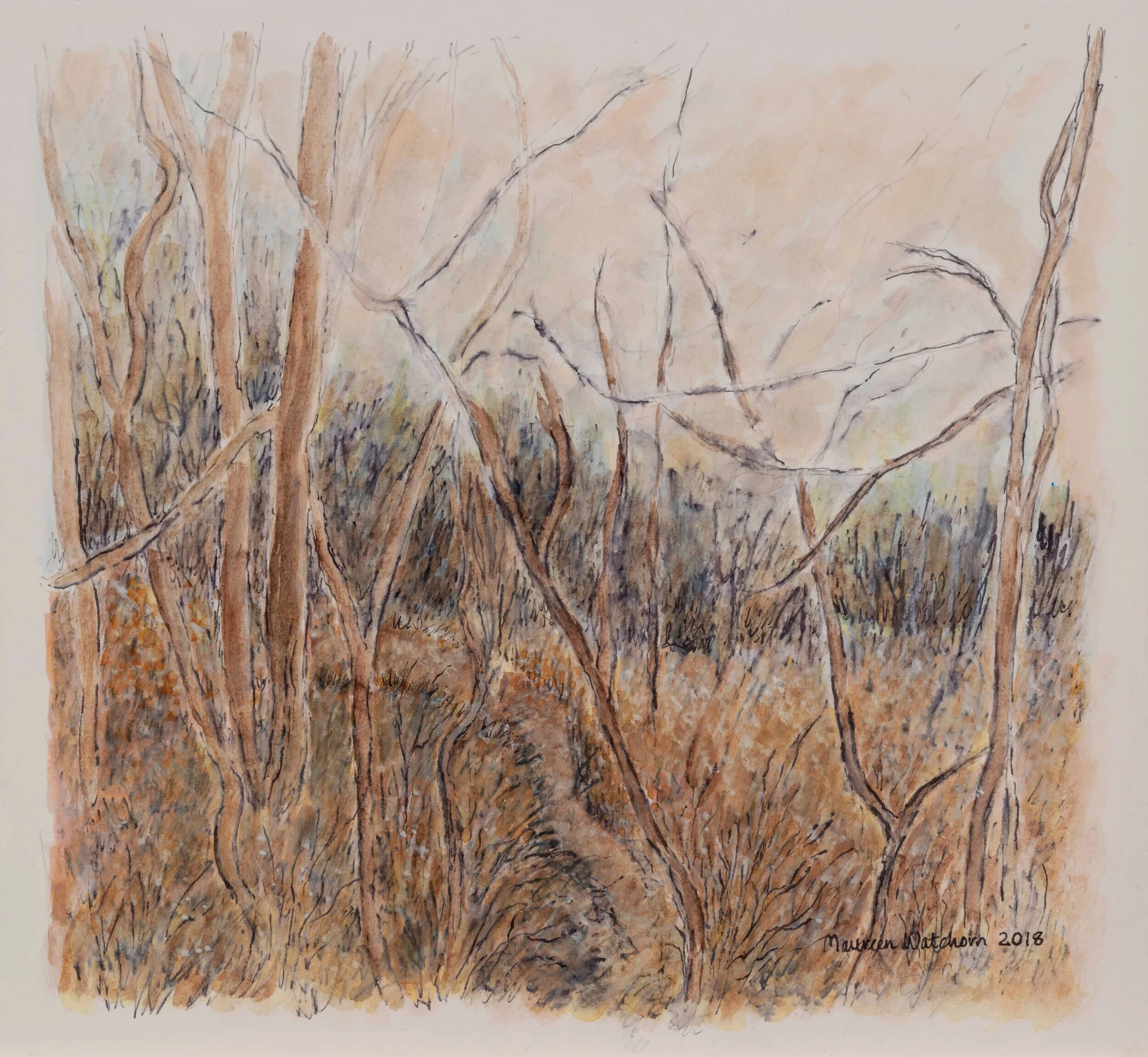 Bois des Esprits #2  