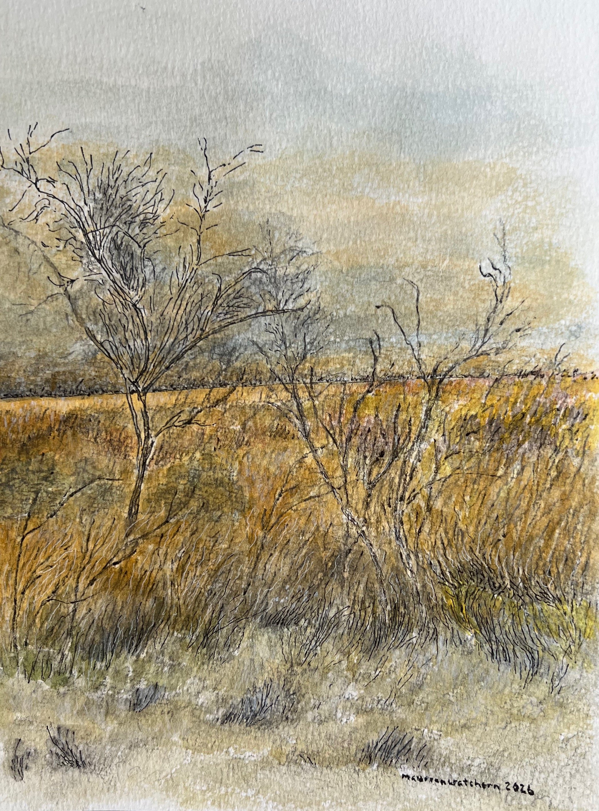 Golden Fields