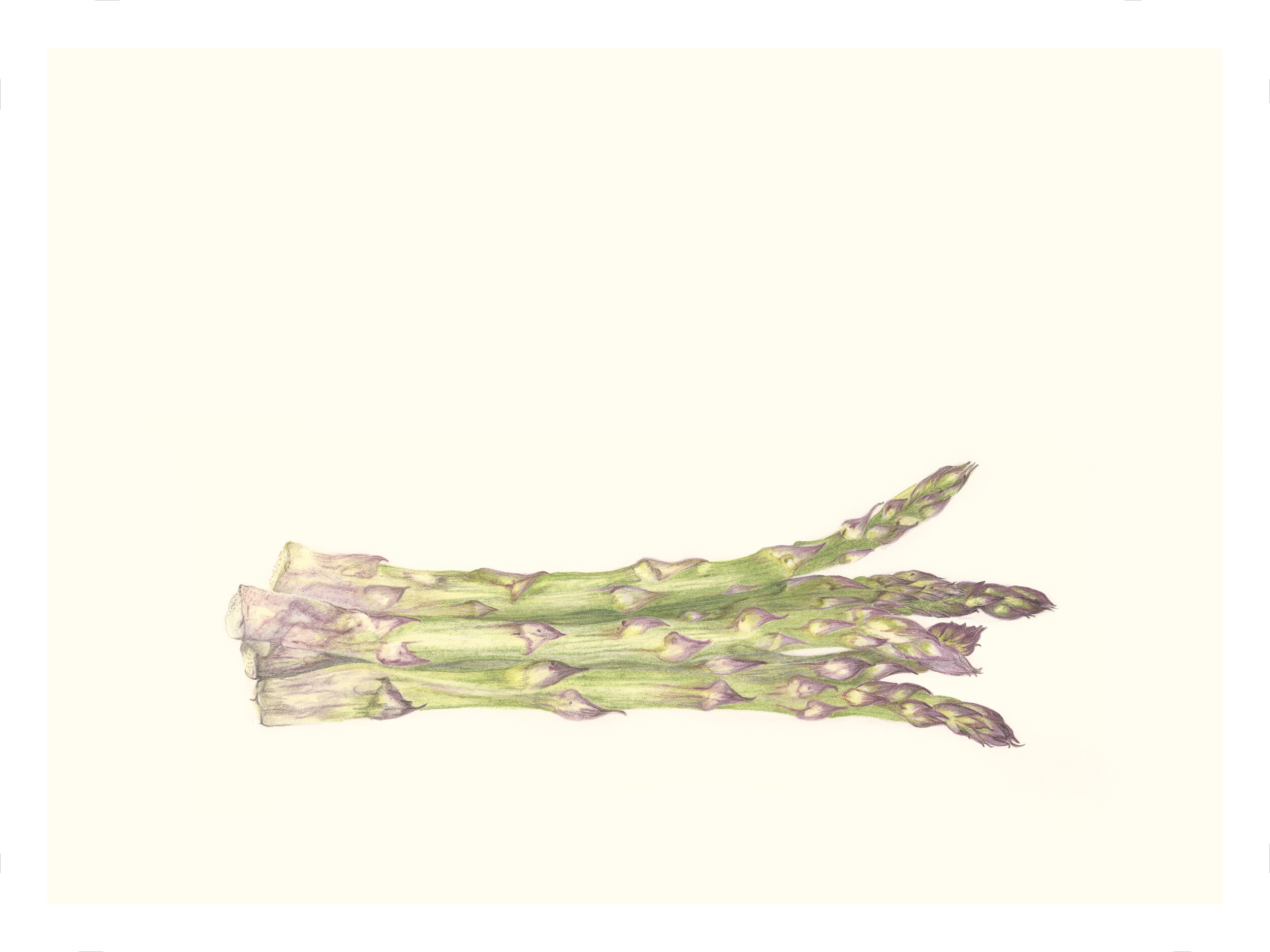 asparagus copy.jpg