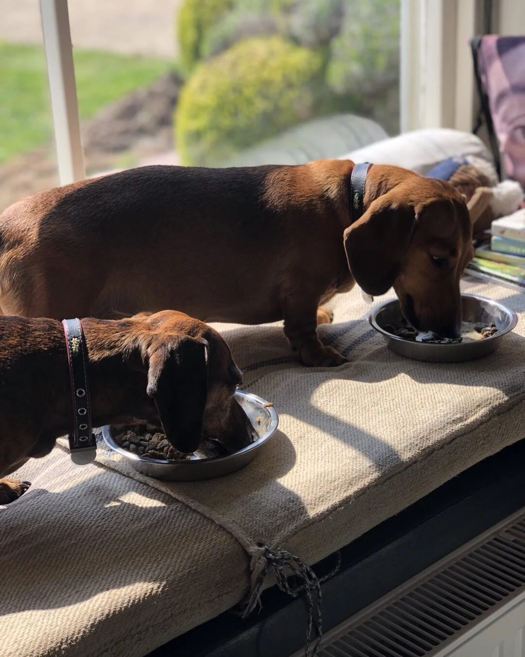 Lazy, late, Saturday morning breakfast in the sunshine.