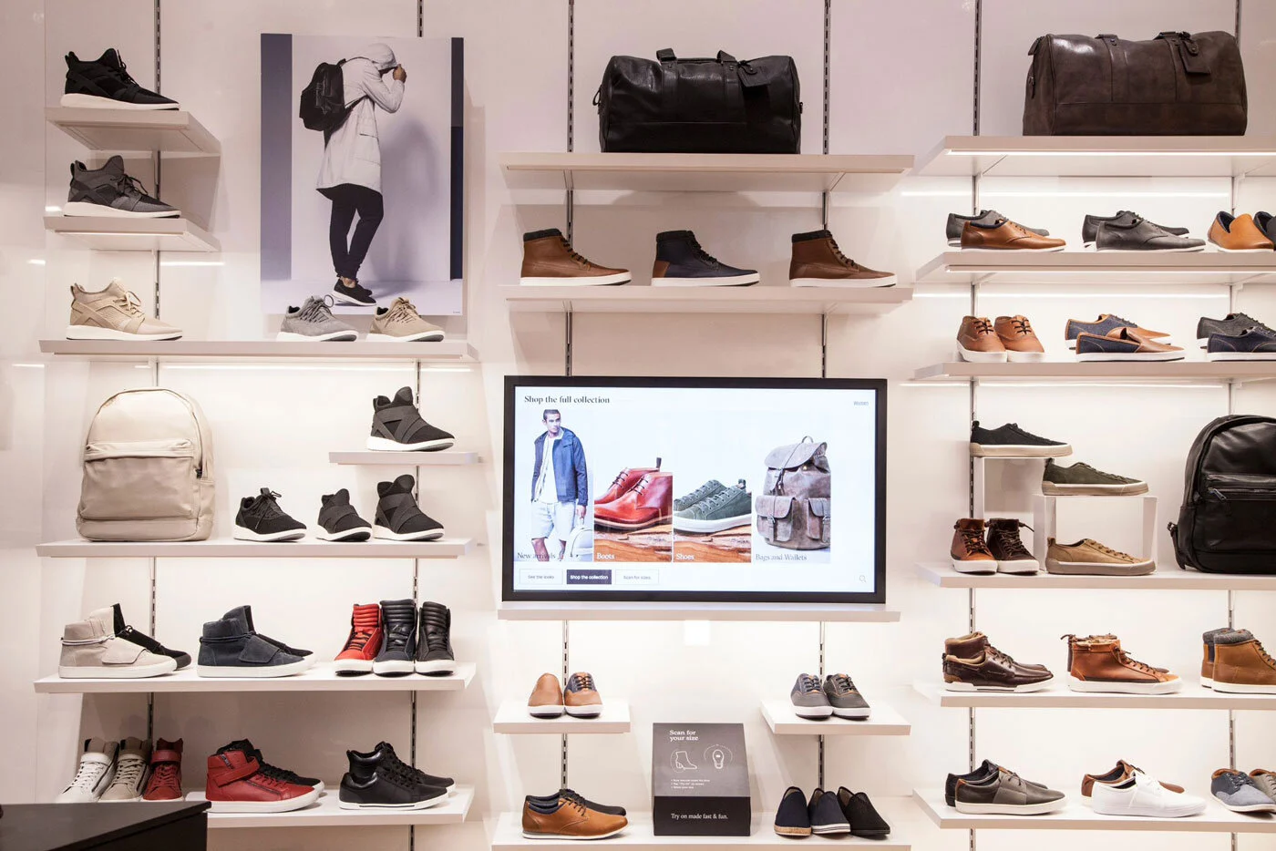 aldo-(1).jpg