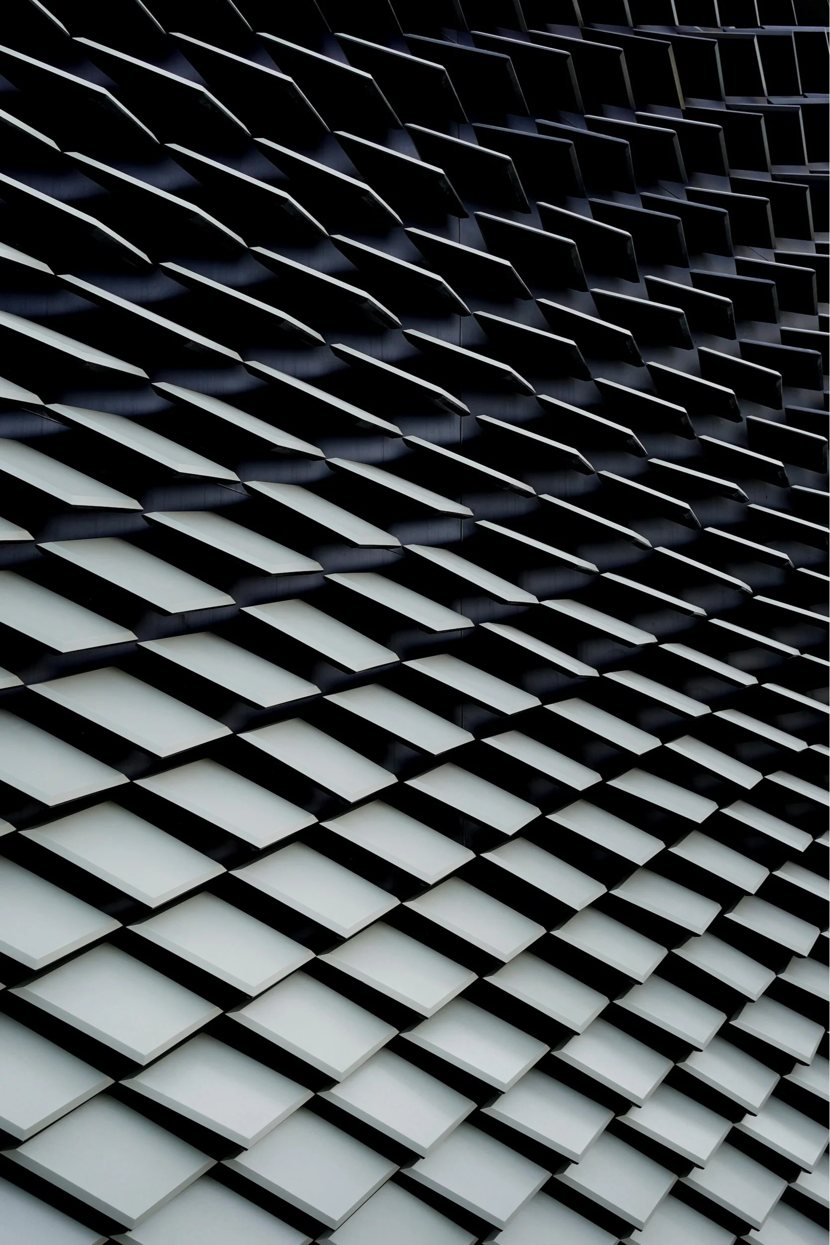 image-asset.jpg