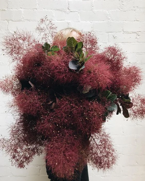 via Sophia Kaplan