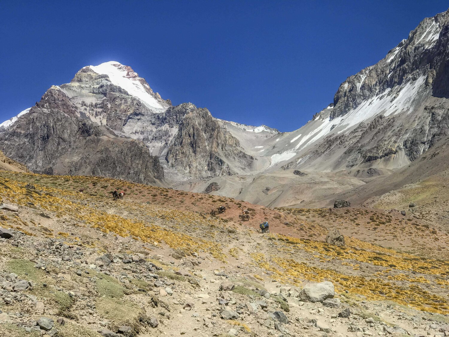 AWExAconcagua 2020-7810.jpg