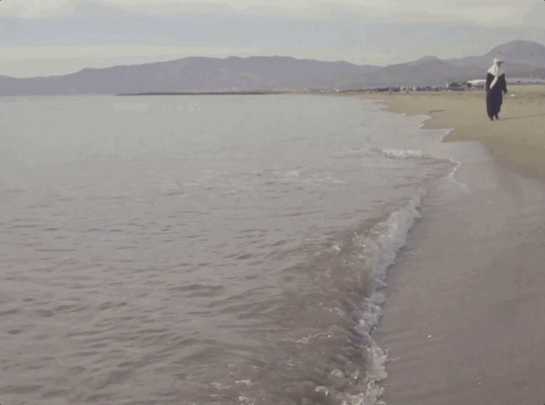 pleursdelamer_gif1.gif
