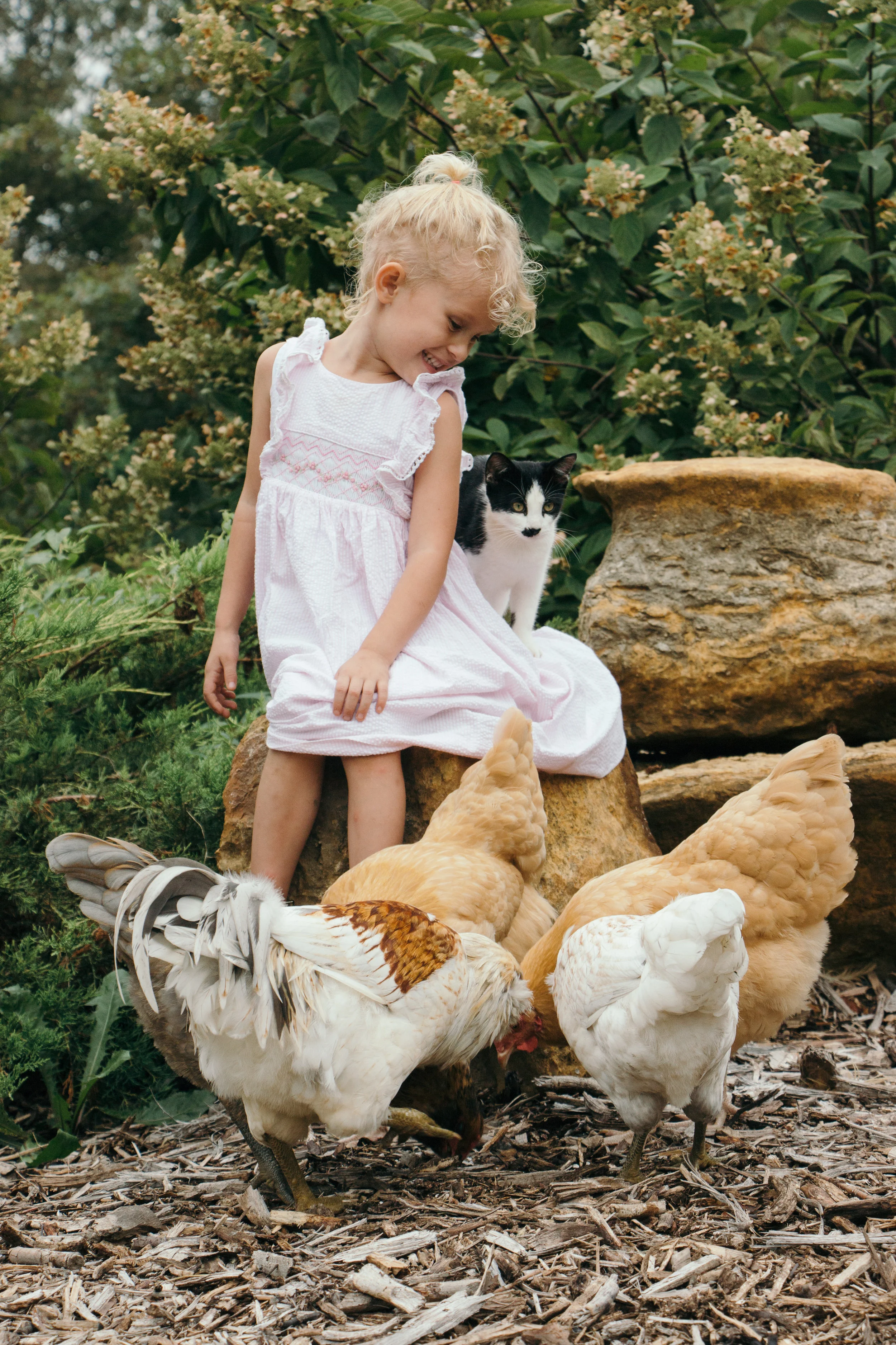 Morning Chicks & Sticks Day Camp