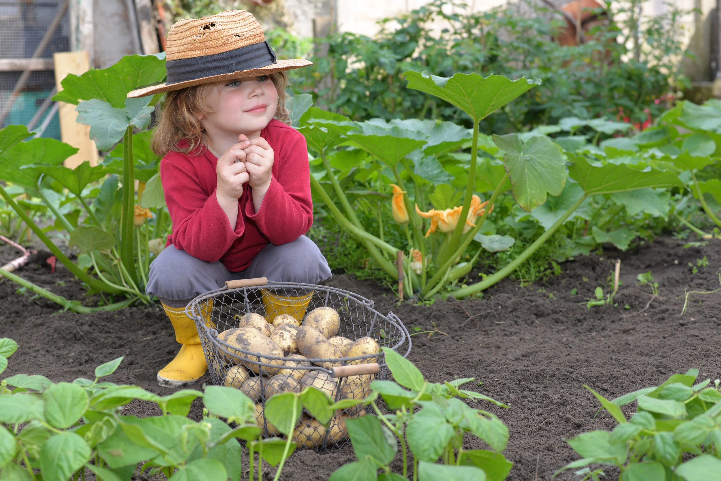 Morning Gardening & Games Day Camp