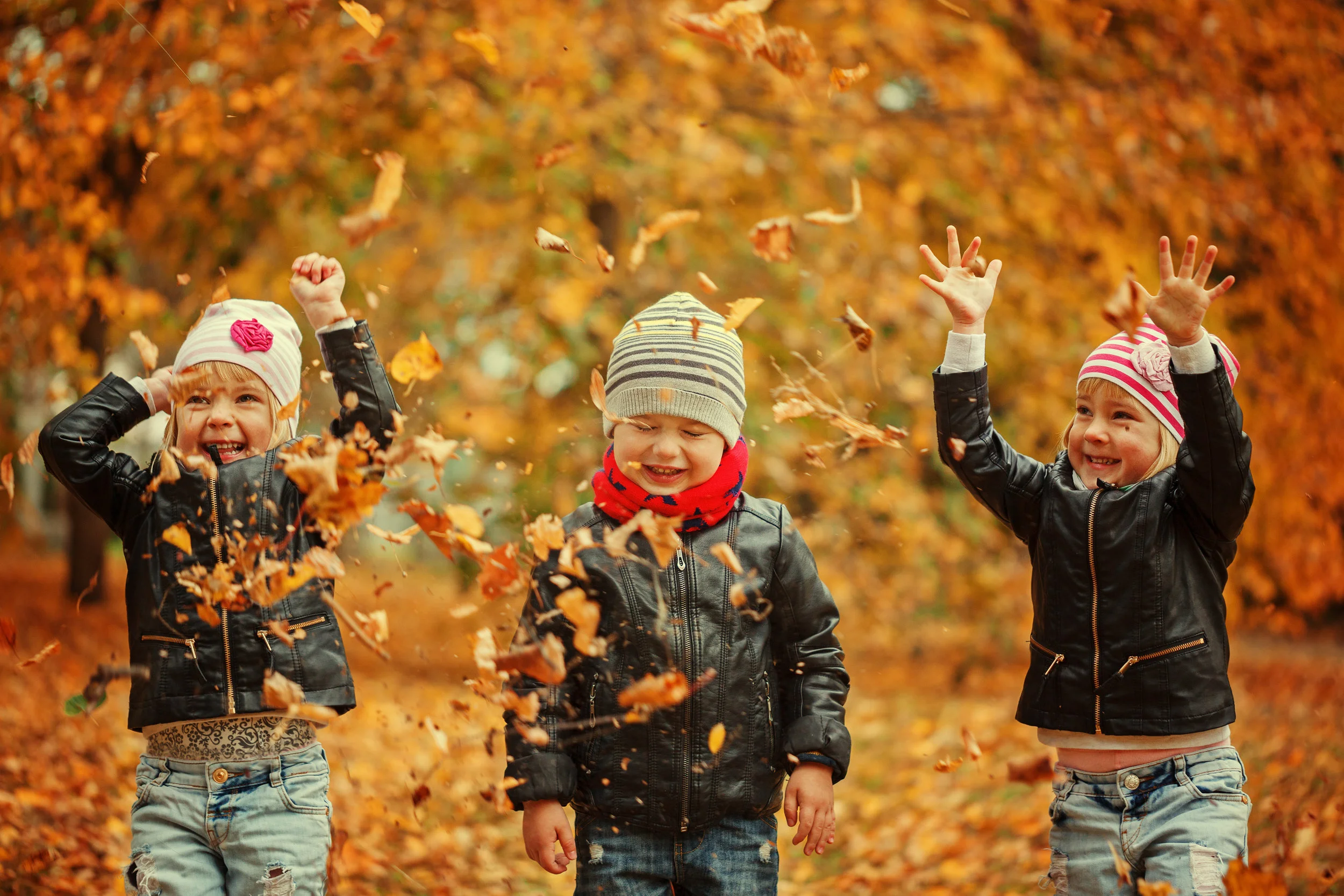 Fall Open Hours