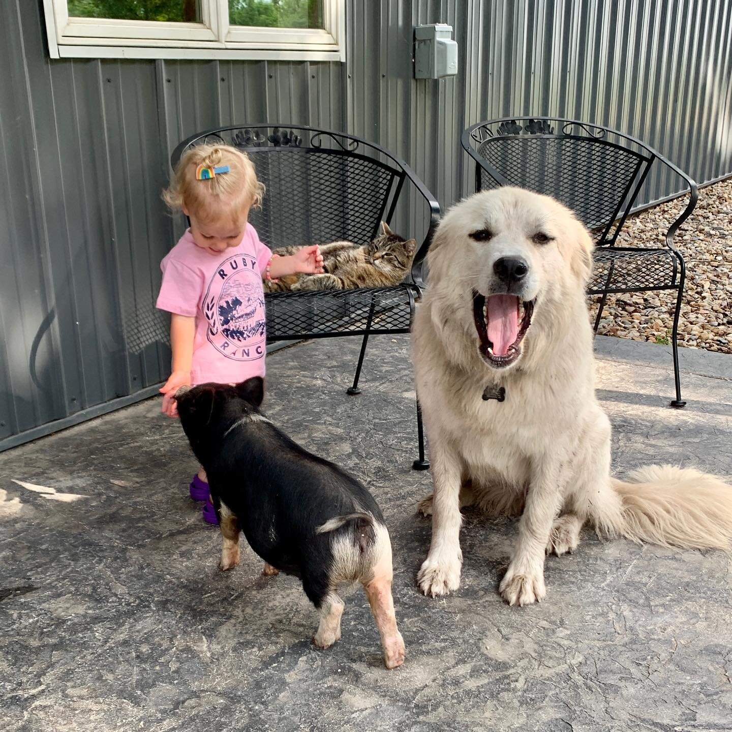 Someone is ready for her very first Open Hours! Someone else is ready for a coffee! Shout out below if you are coming to open hours today! We are open anytime from 11 to 5 PM!