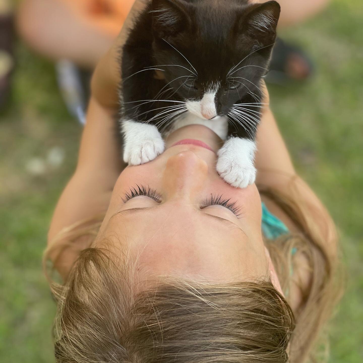 Kittens to start your day off right 💕🐱😍