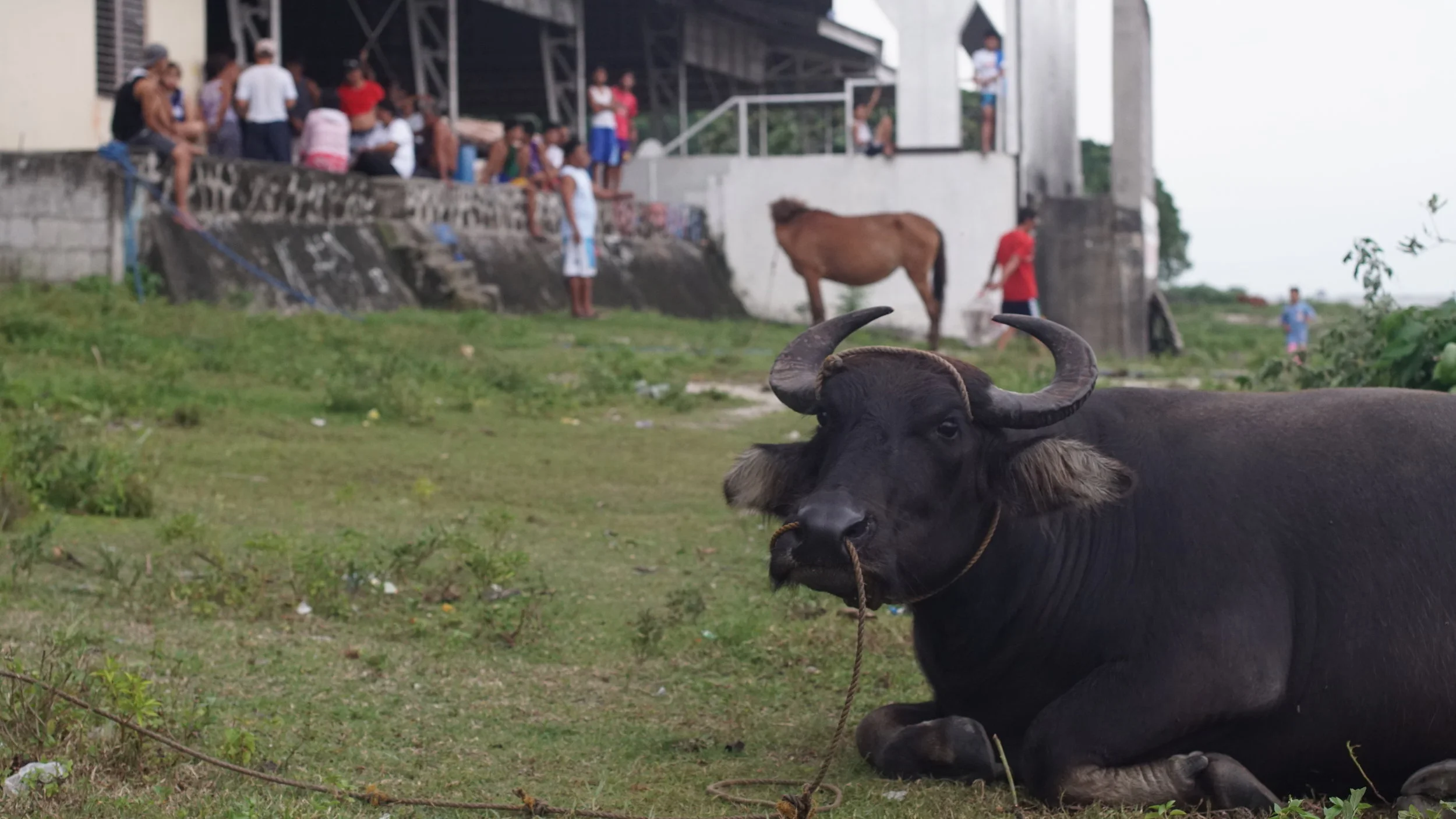 Jala Jala, Philippines 