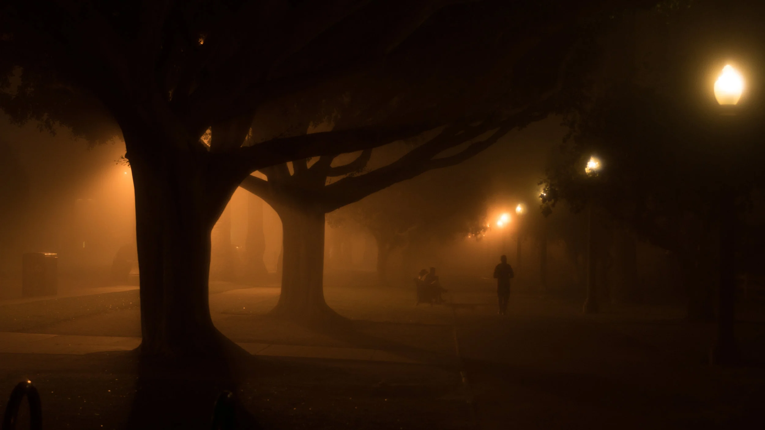 Night Sodium Vapors