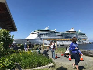 cruise.jpg