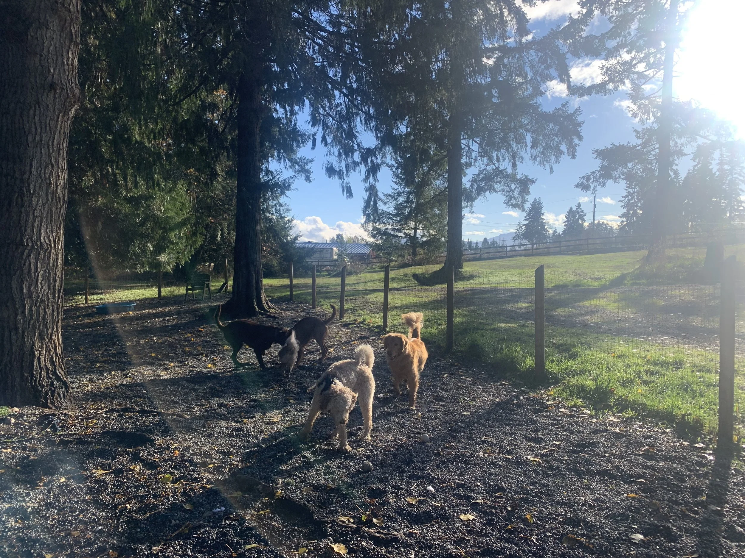 March Dog Outdoor Adventures!