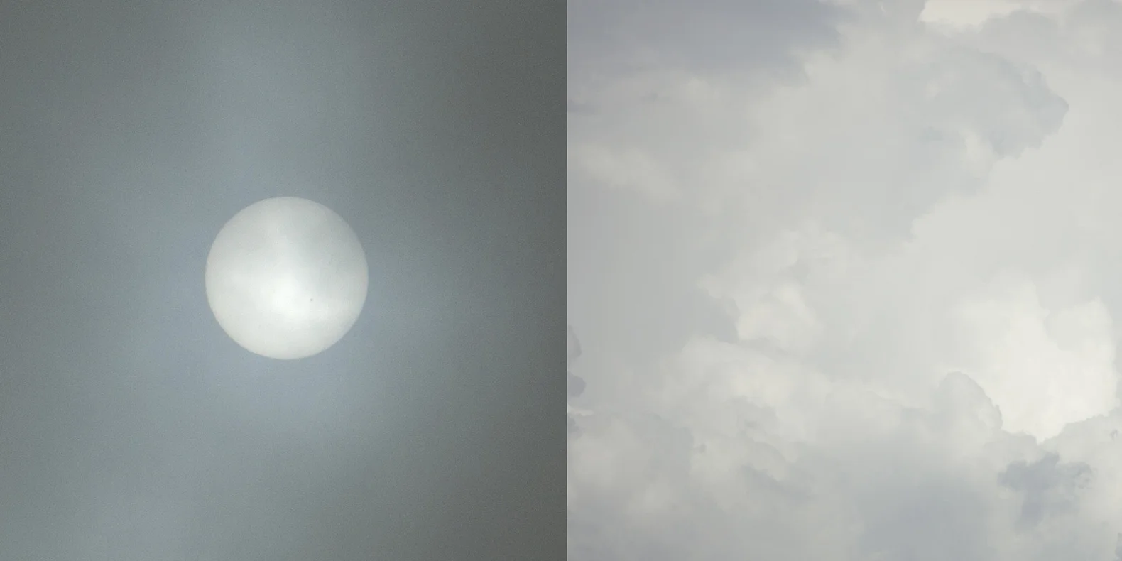 white_sun.jpg