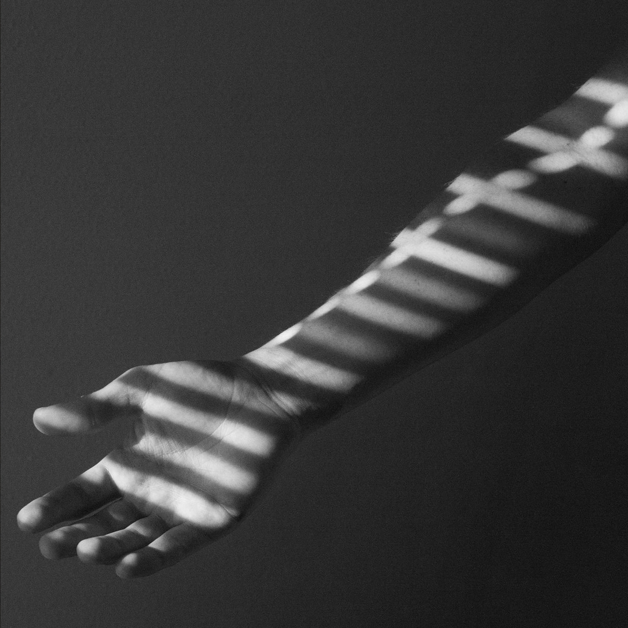 windowstripe.jpg