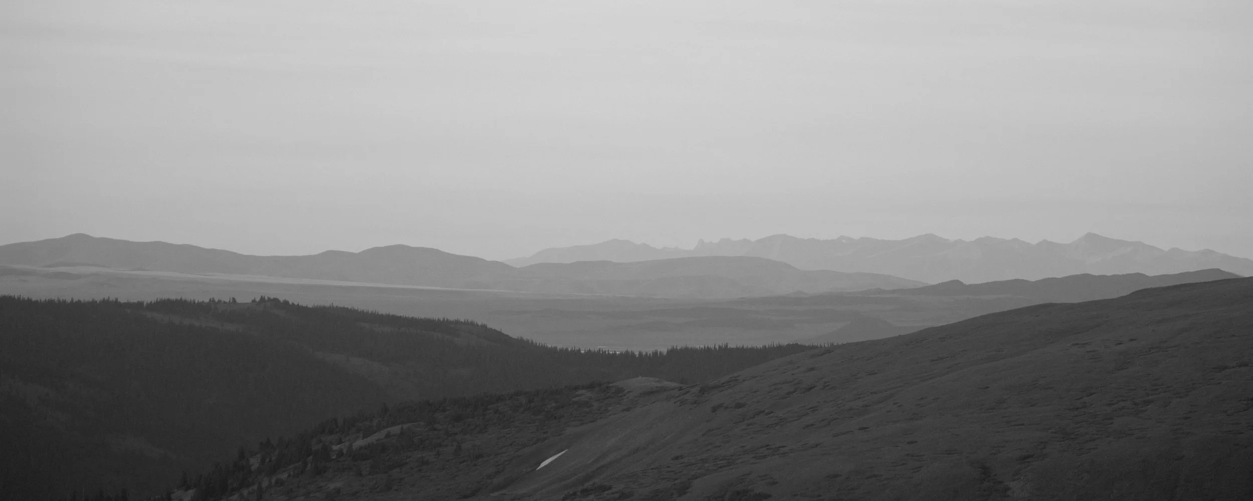 rollinghills copy.jpg