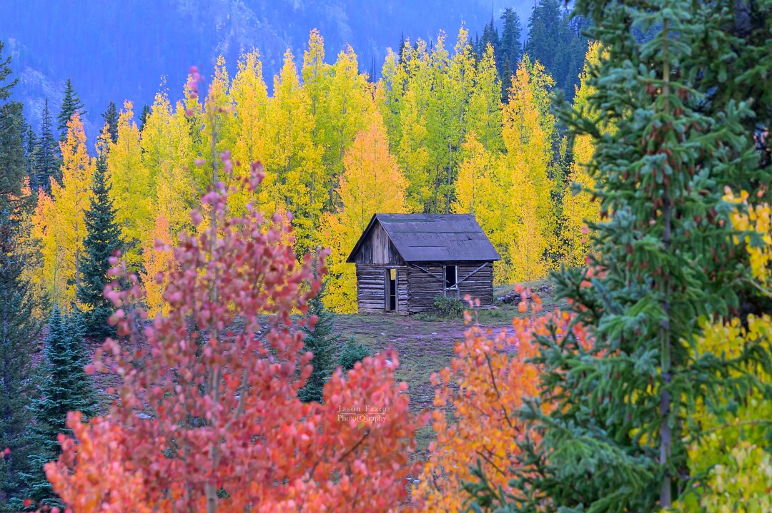 Rustic wooden cabin framed by orange and yellow autumn aspens near Silverton in Colorado's San Juan Mountains.