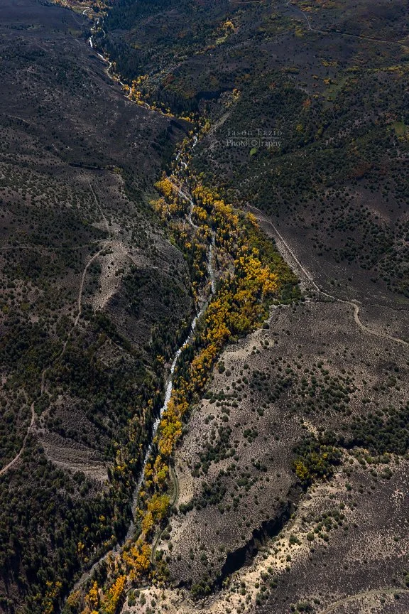 Aerial drone photograph of golden autumn aspens following a winding creek through a rugged Colorado mountain valley near Owl Creek Pass, en route to Ohio Pass.